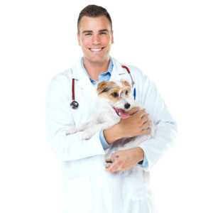 Ветеринар с собачкой в клинике Северное Сияние